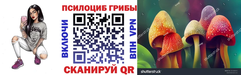 Купить где  Гремячинск  Псилоцибиновые грибы мухоморы 